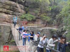 �����T���L(f��ng)��